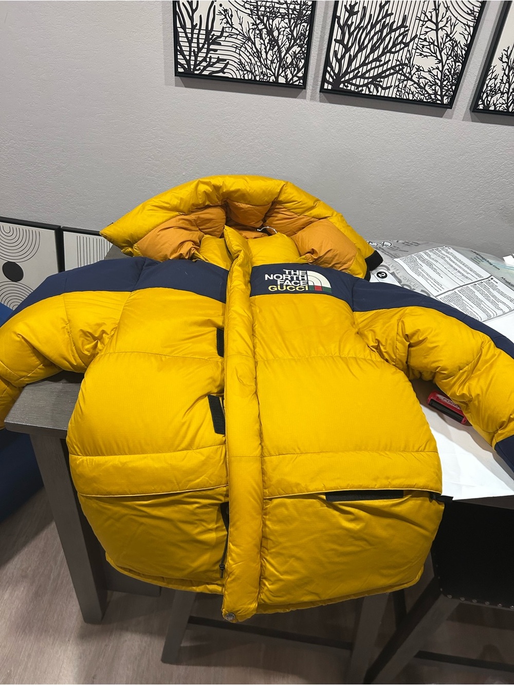 The North Face x Gucci Puffer Jacket